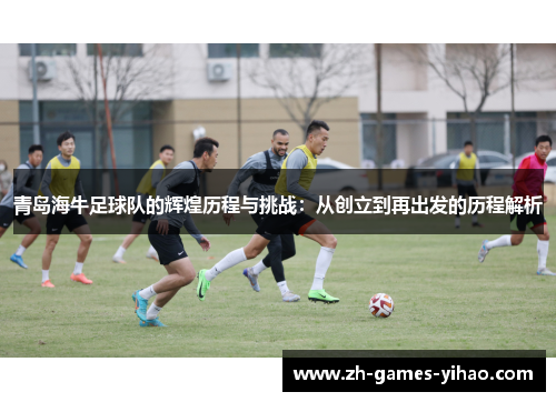青岛海牛足球队的辉煌历程与挑战：从创立到再出发的历程解析